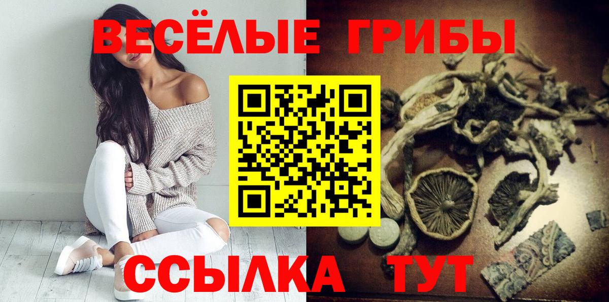 Спасск-Дальний  Галлюциногенные грибы MAGIC MUSHROOMS  Вход с VPN 