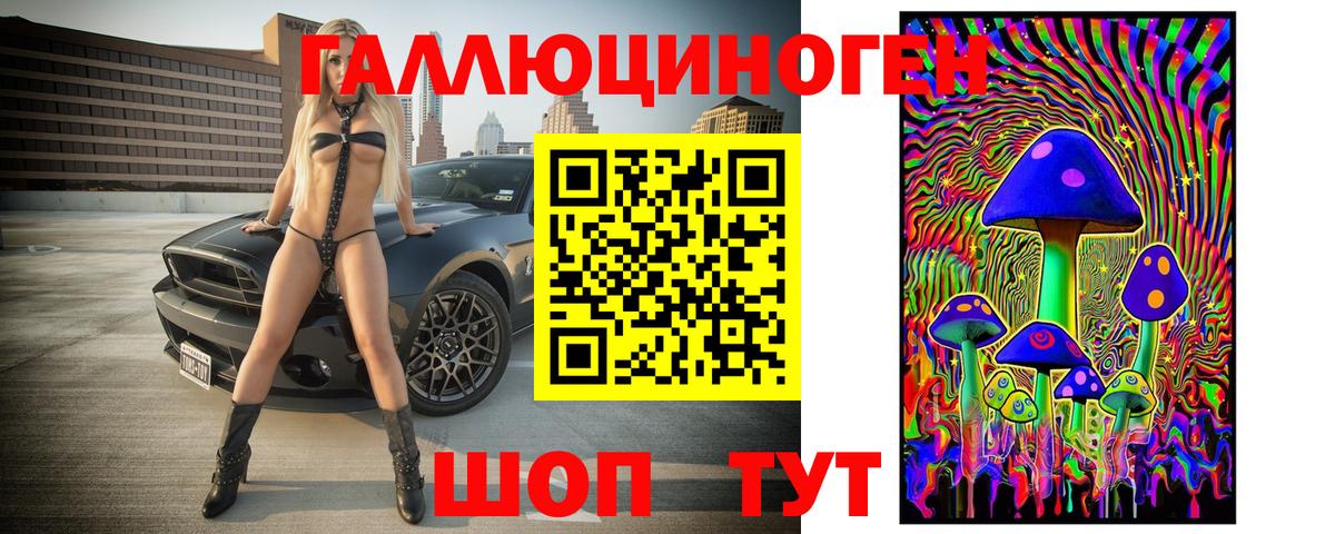 Псилоцибиновые грибы Psilocybe Спасск-Дальний